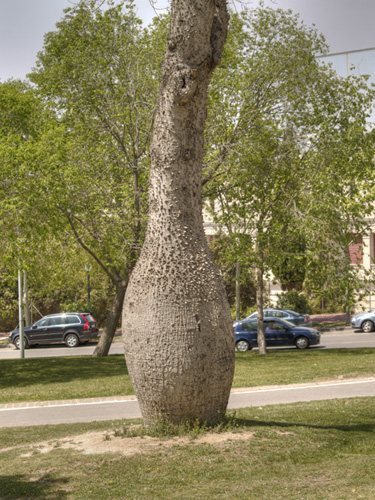p1016680.jpg
