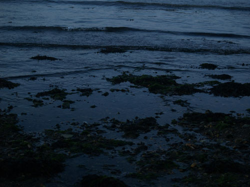 p1014893.JPG